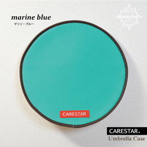 TVF[h  nh Jo[  2WAY Jo[ JiA ՔM 킢 AEghA ΍ ėp y ʎ  ~jo ^b` 񂽂  CARESTAR PAX^[ n