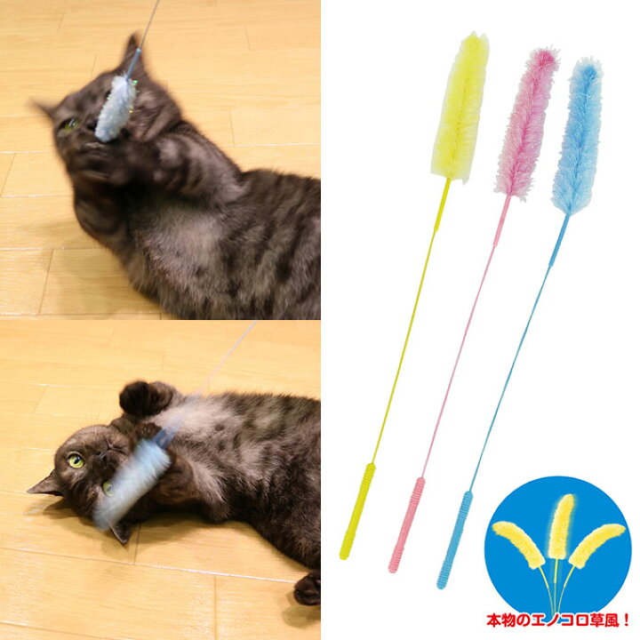 楽天市場】じゃれ猫 猫のお遊びカラ振る草 3本セット 猫用 ドギーマンハヤシ キャット ねこ ネコ 猫じゃらし じゃらし TOY おもちゃ オモチャ 玩具 : カレッツァ〜犬用品&ドッグフード 楽天市場】じゃれ猫 猫のお遊びカラ振る草 3本セット 猫用 ドギーマンハヤシ キャット ねこ ネコ 猫じゃらし じゃらし TOY おもちゃ オモチャ 玩具 : カレッツァ〜犬用品&ドッグフード