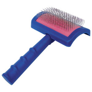 FREE BIRD SHOW TECH Pro XbJ[ M M[ #21   t[o[h V[ebN v