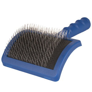 FREE BIRD SHOW TECH Pro XbJ[ L M[ #24   t[o[h V[ebN v