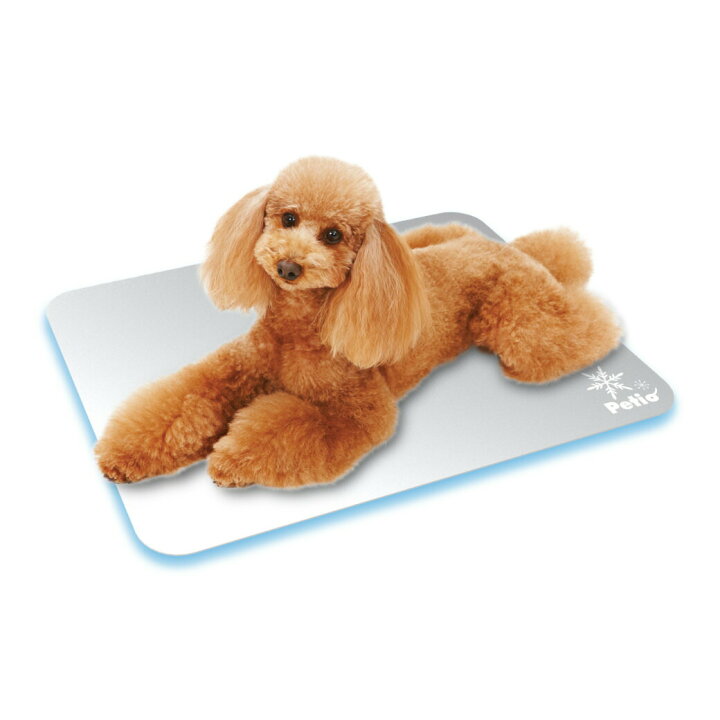 楽天市場 ペティオ 犬猫用 クールアルミシート L 22年ss 22ss カレッツァ 犬用品 ドッグフード