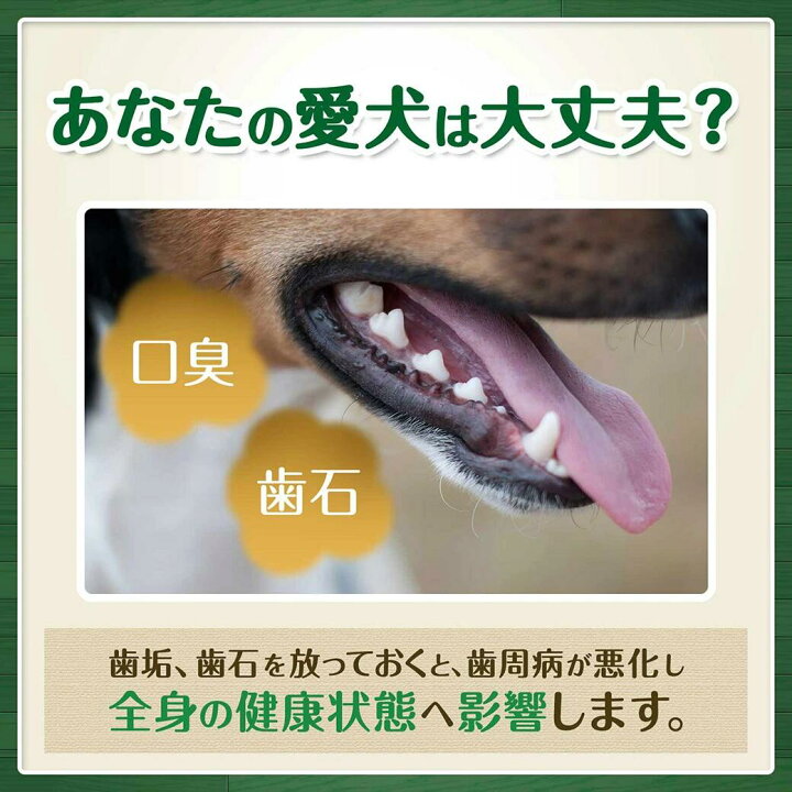 楽天市場】【数量限定セット】グリニーズ(Greenies) 正規品 グリニーズプラス カロリーケア 超小型犬用 ミニ 1.3-4kg 90本入×2個 オーラルケア 犬用 おやつ デンタルケア 歯磨き ガム grtkset : カレッツァ〜犬用品&ドッグフード 楽天市場】【数量限定セット】グリニーズ(Greenies) 正規品 グリニーズプラス カロリーケア 超小型犬用 ミニ 1.3-4kg 90本入×2個 オーラルケア 犬用 おやつ デンタルケア 歯磨き ガム grtkset : カレッツァ〜犬用品&ドッグフード