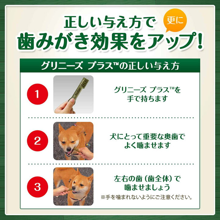 楽天市場】【数量限定セット】グリニーズ(Greenies) 正規品 グリニーズプラス 穀物フリー 超小型犬用 2-7kg 60本×2個セット(ボックスタイプ) オーラルケア 犬用 おやつ デンタルケア 歯磨き ガム grtkset : カレッツァ〜犬用品&ドッグフード 楽天市場】【数量限定セット】グリニーズ(Greenies) 正規品 グリニーズプラス 穀物フリー 超小型犬用 2-7kg 60本×2個セット(ボックスタイプ) オーラルケア 犬用 おやつ デンタルケア 歯磨き ガム grtkset : カレッツァ〜犬用品&ドッグフード