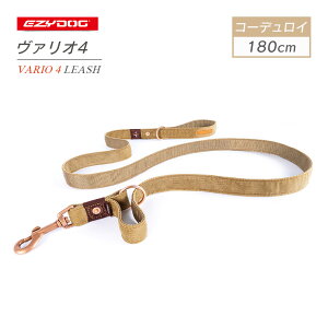 EZYDOG C[W[hbO @I4 R[fC