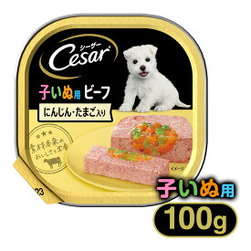 シーザー Cesar 2ヶ月からの 子犬用 ビーフ にんじん・たまご入り 100g ■ ドッグフード ウェットフード
