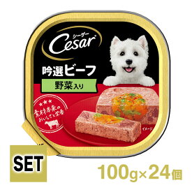 Cesar シーザートレイ 吟撰ビーフ・野菜入り 1ケース （100g×24個）
