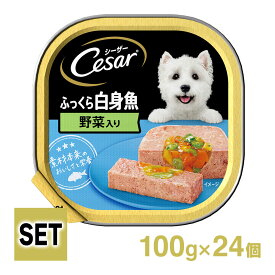 Cesar シーザートレイ ふっくら白身魚 野菜入り 1ケース （100g×24個）