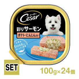 Cesar シーザートレイ サーモン風味 ポテトとにんじん入り 1ケース （100g×24個）