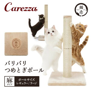 L oo߂Ƃ|[  x[W M[ LTCY