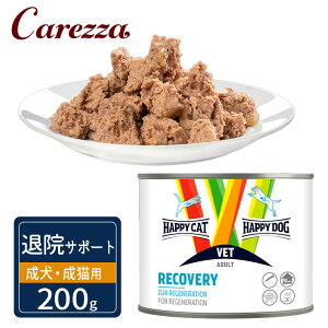 nbs[hbO nbs[Lbg VET Jo[ މ@T|[g EFbg 200g