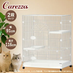 GB FW-C2 LbgT[N zCg LpyW[r[z[T[N P[W] 