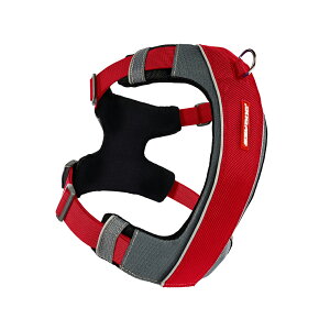 C[W[hbO EZYDOG GbNXNn[lX XL