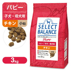 セレクトバランス パピー 子犬用 チキン 小粒 3kg