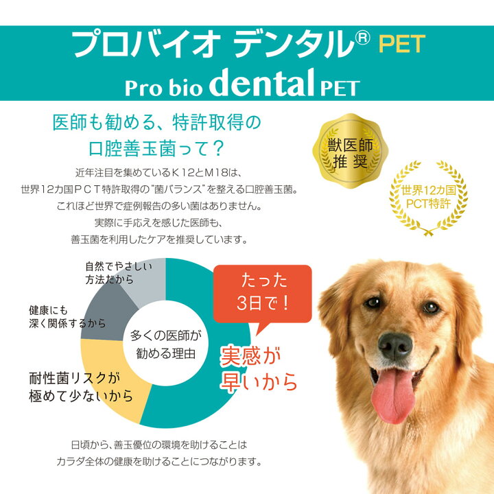 楽天市場】プレミアモード プロバイオ デンタルPET 粉末タイプ 14g【ドッグフード/サプリメント（サプリ・Supplement）/デンタル /獣医師推奨/口腔善玉菌/オーラルケア】【犬用品/ペット・ペットグッズ/ペット用品】 : カレッツァ〜犬用品＆ドッグフード