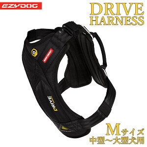 EZYDOG C[W[hbO hCun[lX M ubN