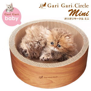 GCNGCc KKT[N CeA~j eB[uE  Lp܂Ƃ qL Lg ߂Ƃ L  xbh ybgObY