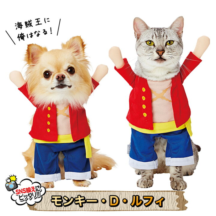 半額 ワンピース 変身着ぐるみウェア チョッパー M ペティオ 返品種別a Riosmauricio Com 半額 ワンピース 変身着ぐるみウェア チョッパー M ペティオ 返品種別a Riosmauricio Com