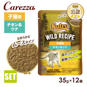 FX j[g Lbg ChVs qLp `Lci Ȃ߂炩ȃ[X^Cv pE` 35g×12 ͂  yChVs(WILD RECIPE)z[Lbgt[h]