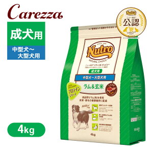 FX j[g i` `CX  ^`^p p 4kg ͂  yi``CX(NATURAL CHOICE)z[hbOt[h]