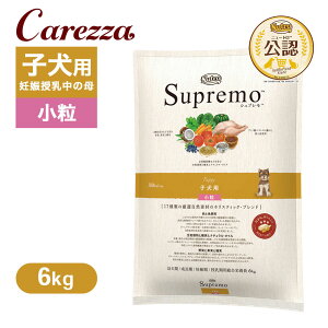 FX j[g Vv qp  6kg ͂  yVv(Supremo)z[hbOt[h]