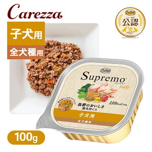 FX j[g Vv gC qp100g ͂  yVv(Supremo)z[hbOt[h]