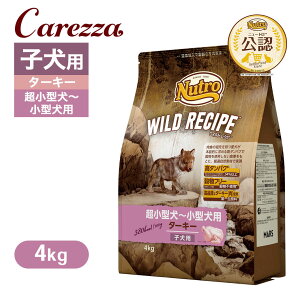 ���F�X �j���[�g�� ���C���h���V�s �����^���`���^���p �q���p �^�[�L�[ 4kg ���͂� ���� �y���C���h���V�s(WILD RECIPE)�z[�h�b�O�t�[�h]