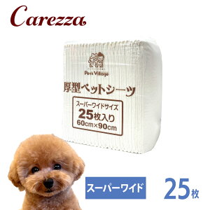 ^ zCgybgV[c 1 M[100 Ch50 X[p[Ch25
