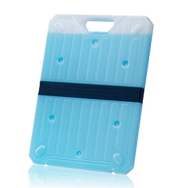 CARGO CONTAINER カーゴコンテナ ICE BRICK 600 保冷剤 薄型 1.5cm クーラーボックス用 625g アウトドア