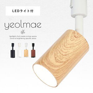 yő1,000~OFFN[|zX|bgCg LEĎ^ d _Ng[ CeBO[ [Cg dF 1 _Ng[pƖ LED ̎  X|bgƖ _CjO 