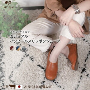 yMAX2000~OFFN[|11{IZ[zJWAV[Y fB[X {v C  Rۑf ₷ ɂȂ L 4E  l V[Y { JbN CM10 R̓