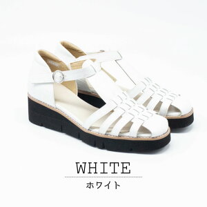 y777~OFFN[|IZ[zOJT_ fB[X {v v EGbW\[ { L 3E RtH[g  ɗD ₷ ɂȂ JbN C505