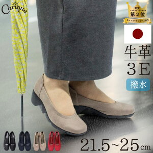 yMAX2000~OFFN[|11{IZ[zRtH[g pvX  C fB[X Ȃ {v ɂȂ EȂ  ubN L 3e XNGAgD EFbW\[ y 