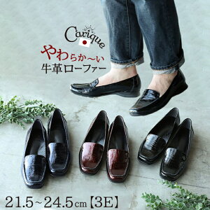 y500~OFFN[|zzIZ[z [t@[ pvX l fB[X XNGAgD {v ^ Gi ɂȂ ₷ ₷ 3e O 傫TCY 25cm wlC { C