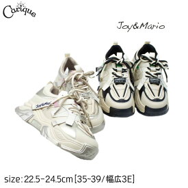 【500円OFFクーポン発行中！SALE19日19:59まで】Joy&Mario ジョイアンドマリオ スニーカー レディース レースアップ ラウンドトゥ ウエッジソール 厚底 3E相当 幅広 歩きやすい おしゃれ かっこいい かわいい 31191w