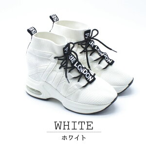 yMAX2000~OFFN[|11{IZ[z Carnacia JiVA Xj[J[ fB[X  Xgb`f jbg \[ ₷  JbRCC 89367 ̓