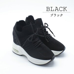 yMAX2000~OFFN[|11{IZ[z Carnacia JiVA Xj[J[ Cq[ fB[X  jbgf  LL  \[  Vv 89362 E̓