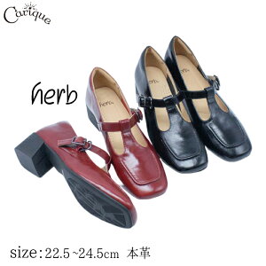 y777~OFFN[|IZ[zy2025H~Vzherb n[u {v pvX Xgbv pvX [t@[ fB[X g EȂ ₷ ₷ wlC { t  H 