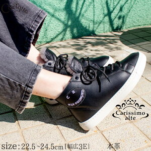 y777~OFFN[|IZ[zy2025H~Vz Carissimo alte JVAe Xj[J[ C fB[X {v v L 3E[XAbv [g t@[ ₷ _炩  