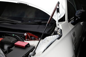 �yBLITZ/�u���b�c�z�G���W���t�[�h�_���p�[ for HONDA CIVIC / CIVIC TYPE-R / PRELUDE 14103