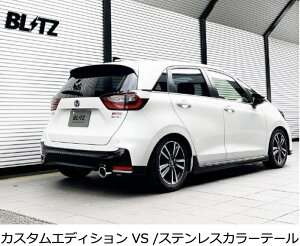 VIsiEւ̔sjyBLITZ/ubczEX-SYSTEM [GL][XgVXe/}t[] NUR-SPEC CUSTOM EDITION VS XeXJ[ [tBbg e:HEV RS GR3] 63584