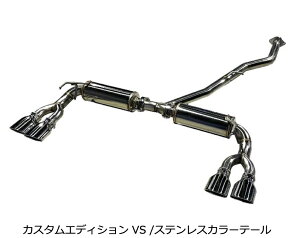 VIsiEւ̔sjyBLITZ/ubczEX-SYSTEM [GL][XgVXe/}t[] NUR-SPEC CUSTOM EDITION VS XeXJ[ [NENXI[o[ TZSH35] 63585