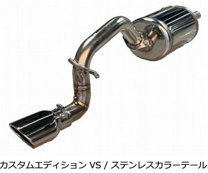 VIsiEւ̔sjyBLITZ/ubczEX-SYSTEM [GL][XgVXe/}t[] NUR-SPEC CUSTOM EDITION VS XeXJ[ [fJ~j B38A] 63586