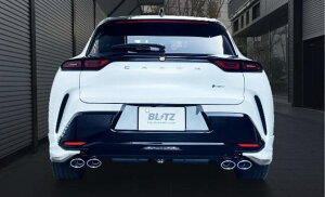 VIsiEւ̔sjyBLITZ/ubczEX-SYSTEM [GL][XgVXe/}t[] NUR-SPEC CUSTOM EDITION VS XeXJ[ [NEX|[c AZSH36W] 63588