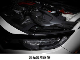 【BLITZ/ブリッツ】カーボンインテークシステムCARBON INTAKE SYSTEM [シビック タイプR] 27034