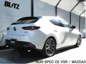 󒍐Y4AsAԍHAVbvlւ̔ƂȂ܂iEjyBLITZ/ubczEX-SYSTEM [GL][XgVXe/}t[] NUR-SPEC CUSTOM EDITION VSR styleD `^