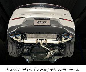 VIsiEւ̔sjyBLITZ/ubczEX-SYSTEM [GL][XgVXe/}t[] NUR-SPEC CUSTOM EDITION VSR `^J[ [NENXI[o[ TZSH35] 63585V