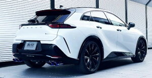 VIsiEւ̔sjyBLITZ/ubczEX-SYSTEM [GL][XgVXe/}t[] NUR-SPEC CUSTOM EDITION VSR `^J[ [NEX|[c AZSH36W] 63588V