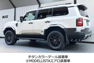 VIsiEւ̔sjyBLITZ/ubczEX-SYSTEM [GL][XgVXe/}t[] NUR-SPEC CUSTOM EDITION VSR `^J[XeXe[Zbg [hN[U[250 T