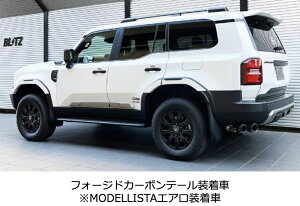 VIsiEւ̔sjyBLITZ/ubczEX-SYSTEM [GL][XgVXe/}t[] NUR-SPEC CUSTOM EDITION FC tH[WhJ[{e[Zbg [hN[U[250 TRJ250W5