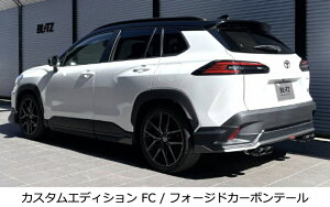 �V�����I������s�i����E�����ւ̔����s�j�yBLITZ/�u���b�c�zEX-SYSTEM [�G�L�]�[�X�g�V�X�e��/�}�t���[] NUR-SPEC CUSTOM EDITION �t�H�[�W�h�J�[�{���e�[���Z�b�g(VSR) [�J���[���N���X �n�C�u��